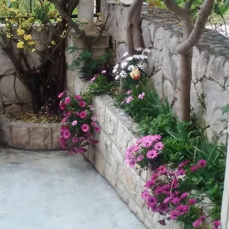 Zlosilo Διαμέρισμα *