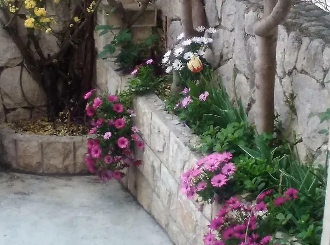 Zlosilo Apartamento *